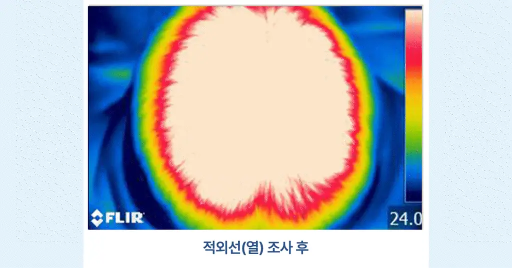 [New/현대약품특허]마이녹셀 댄드러프 스칼프 쿨링 샴푸 480ml 상세페이지 15